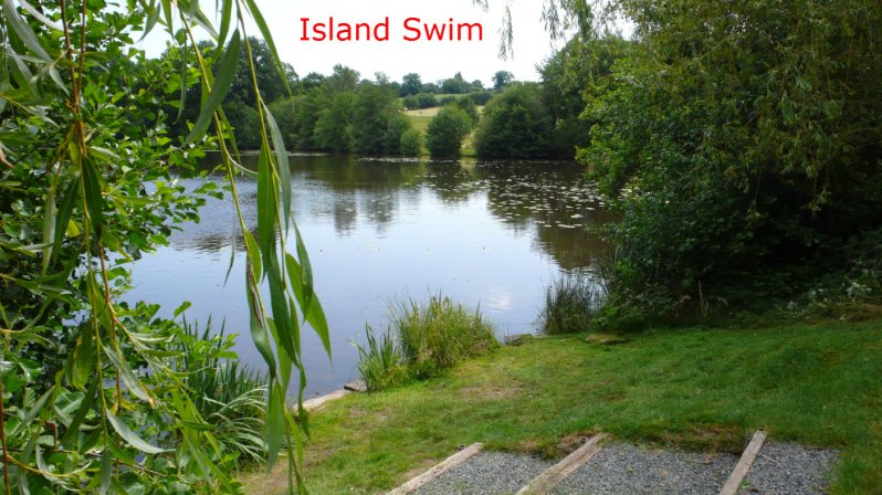 island-swim-june-2014