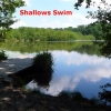 shallows-swim-2-june-2014