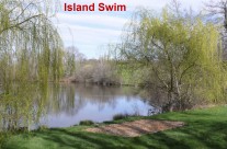 Swim Photos Added to Website