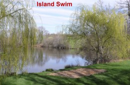 Swim Photos Added to Website