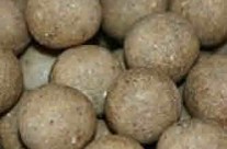 Bait Now Available
