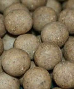Bait Now Available